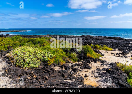 L'île de Lanzarote, Espagne, côte nord plage de sable blanc et de pierres de lave noire près de orzola Banque D'Images