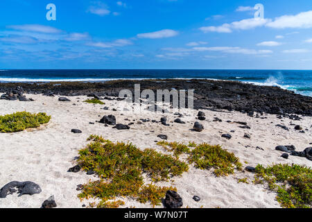 L'Espagne, Lanzarote, superbes hirondelle lave et plage de sable blanc de l'île de vacances Banque D'Images