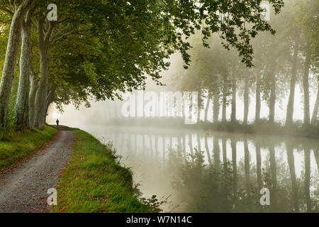 Un jogger sur le chemin de halage du canal du Midi à proximité de Castelnaudary, Midi-Pyrénées, France. 2011 Septeber. Banque D'Images