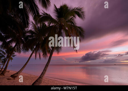 Plage de San Juan avec des palmiers au crépuscule, Siquijor, les Visayas, Philippines. Février 2011 Banque D'Images