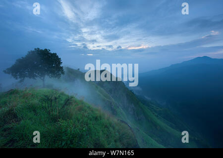 L'écart à l'aube d'Ella Little Adam's Peak, Southern Highlands, Sri Lanka. Décembre 2011. Banque D'Images