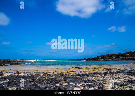 L'Espagne, Lanzarote, parfaite petite crique de plage de sable blanc et de pierres de lave noire à north coast Banque D'Images