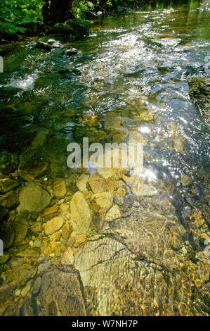 Détail de l'ardoise et de roches métamorphiques dans le lit de la rivière Marteg, upland SSSI River, le meilleur exemple de nettoyer la rivière de montagne au Pays de Galles, Gilfach Réserve Naturelle, Radnorshire Wildlife Trust, Powys, Wales, UK Mai 2012 Banque D'Images