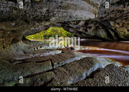 Sur l'Oparara Arch calcaire connue sous le nom de 'Moria Gate'. L'Oparara River system a été la sculpture en calcaire un curieux complexe de grottes, d'arches et de satellite pour des millions d'années, la rivière Oparara Kahurangi National Park, District de Buller, île du Sud, Nouvelle-Zélande. Janvier, 2006. Banque D'Images