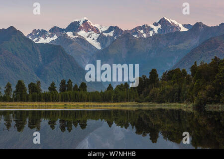 La lumière de fin de soirée sur le Souttern relected Alpes parfaitement dans les eaux calmes du lac Matheson. La plus haute montagne de Nouvelle-Zélande, le Mont Cook ou Aoraki (3754m) est la droite, et le Mont Tasman (3498m) vers la gauche. Lake Matheson est un lac glaciaire qui a été formé ca. Il y a 14 000 ans. Le lac est entouré par des kahikatea (pin blanc) et l'UGDI (pin rouge) des arbres, ainsi que le lin et une variété d'espèces de fougère de Nouvelle-Zélande. ox Glacier, Westland National Park, côte ouest, île du Sud, Nouvelle-Zélande. Janvier, 2008. Banque D'Images