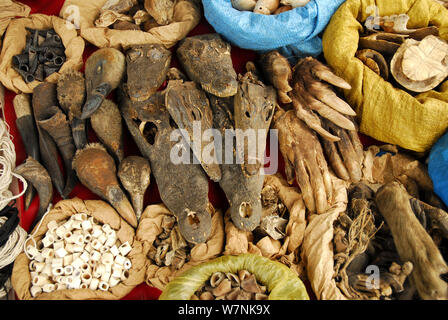 Amulettes animales pour la vente au marché de Sandaga, l'un des plus importants de Dakar. Têtes de crocodile, l'oryctérope Orycteropus afer)(griffes, des tortues, des têtes de vautour et de coquillages. Dakar, Sénégal. Banque D'Images