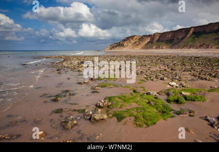 Pierres sur la plage de West Runton, Norkfolk, Royaume-Uni Juillet Banque D'Images