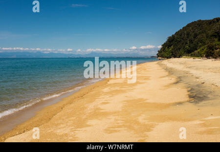 Vue le long d'une des nombreuses plages de sable doré à l'incroyablement belle capable Tasman National Park, South Island, New Zealand Banque D'Images