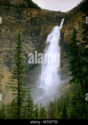 Les chutes Takakkaw, Parc national Yoho, montagnes Rocheuses, British Columbia, Canada Banque D'Images