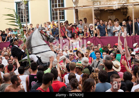 Homme monté sur un étalon Andalou gris, effectuant le bot ou la marche courbette du Doma Menorquina, durant le festival Mare de Deu de Gracia, à Mahon, Menorca, Espagne 2012. Les gens essaient de toucher le cheval, qui est destiné à apporter la bonne chance. Banque D'Images