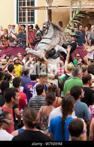 Homme monté sur un étalon Andalou gris, effectuant le bot ou la marche courbette du Doma Menorquina, durant le festival Mare de Deu de Gracia, à Mahon, Menorca, Espagne 2012. Les gens essaient de toucher le cheval, qui est destiné à apporter la bonne chance. Banque D'Images