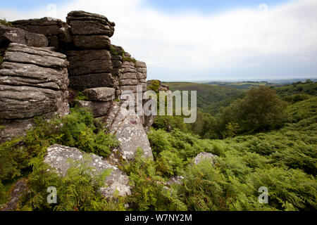 Vue du banc sur Tor vallée de Dart. Devon, juin 2011. Banque D'Images