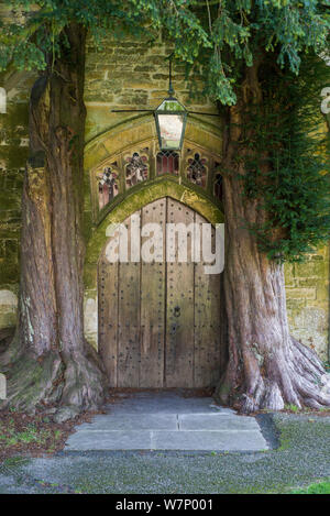 Vue de la porte de l'église l'église St Andrews ar, Stow on the Wold, avec jeunes adultes if (Taxus baccata) et d'autre de la porte, Gloucestershire, Angleterre, octobre 2010 Banque D'Images