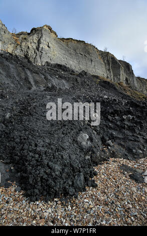 Black Ven glissement de terrain sur plage entre Lyme Regis et Charmouth le long de la Côte Jurassique, Dorset, UK Novembre 2012 Banque D'Images