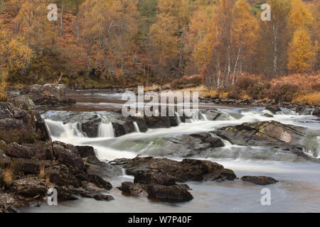 Affric rivière qui coule à travers une gorge rocheuse, la réserve naturelle nationale de Glen Affric, Écosse, Royaume-Uni, octobre 2012. Banque D'Images