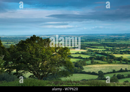 La vallée de Blackmore de Bulbarrow Hill, Dorset, UK Août 2012 Banque D'Images
