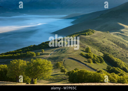 Le Piano Grande à l'aube avec brouillard couché dans la vallée, parc national Monti Sibillini, Ombrie, Italie Mai 2012 Banque D'Images