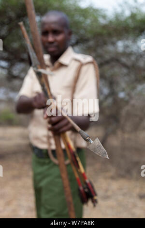 Big Life ranger démontrant flèche empoisonnée utilisée dans le braconnage des éléphants, Mbirikani Chyulu Hills, du ranch de groupe Amboseli-Tsavo, écosystème, Kenya, octobre 2012 Banque D'Images