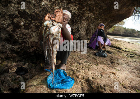 Fisherman holding musulmane une capture de White-spotted Octopus (Octopus macropus) dans l'attente avec son épouse pour le transport en bateau jusqu'à Shimoni marché aux poissons, l'île de Wasini au large de la côte du Kenya, février 2011 Banque D'Images