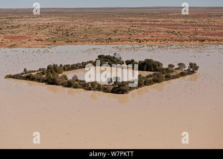 Vue aérienne de barrage dans l'outback servant de points d'eau pour le bétail. L'eau du barrage provient de l'eau à partir de l'alésage le Grand bassin artésien, Australie du Sud, Australie, juin 2011 Banque D'Images