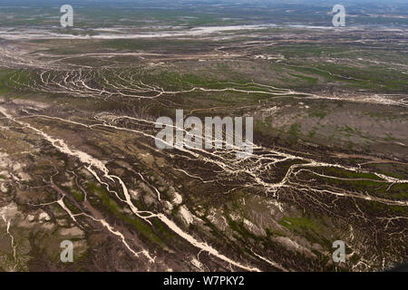 Vue aérienne de la lagune Goyder, partie de l'Strzelecki désert dans l'extrême nord-est de l'Australie du Sud avec de nombreux cours d'eau qui ont fait la une fois sec désert en des centaines de kilomètres carrés de paysage vert riche. L'Australie du Sud, juillet 2011 Banque D'Images