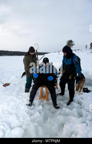 Scuba Diver prêt à faire de la plongée sous les glaces du cercle arctique, centre de plongée, mer Blanche, la Carélie, dans le Nord de la Russie, avril 2010 Banque D'Images