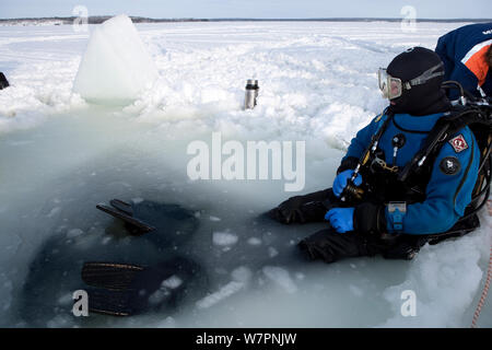 Plongée sous marine à l'entrée triangulaire scié maina (trou) avec glace fondue prêt à faire de la plongée sous les glaces du cercle arctique, centre de plongée, mer Blanche, la Carélie, dans le Nord de la Russie, Mars 2010 Banque D'Images