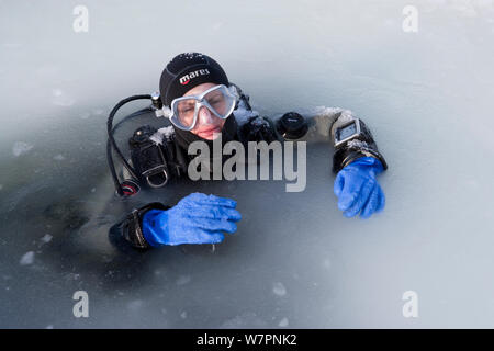 L'intérieur du plongeur maina (découpe d'entrée triangulaire) avec glace fondue prêt à faire de la plongée sous les glaces du cercle arctique, centre de plongée, mer Blanche, la Carélie, dans le Nord de la Russie, Mars 2010 Banque D'Images