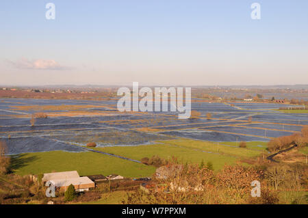 Les pâturages inondés en profondeur et sur des pistes agricoles, avec l'Ouest Sedgemoor inondé Aller s'amarrer à l'arrière-plan, après des semaines de forte pluie, les niveaux de Somerset, au Royaume-Uni, en décembre 2012. Banque D'Images