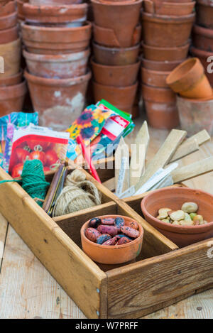 Banc d'empotage avec les semences dont un pot de haricots (Phaseolus coccineus) et d'autres articles de jardinage Banque D'Images