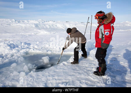 Le trou d'entrée de plongée (maina) a gelé la nuit et doit être coupé à nouveau avec la scie, cercle arctique, centre de plongée, mer Blanche, Carélie du nord de la Russie, Mars 2010 Banque D'Images