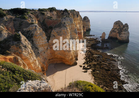 Falaises de grès altérés et piles de mer à Ponta da Piedade. Lagos, Algarve, Portugal, juin 2012. Banque D'Images