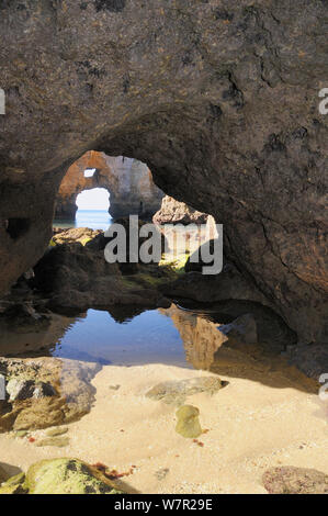 Falaises de grès altérés, des rochers et de la roche naturelle creusée par la mer d'Archway. Ponta da Piedade, Lagos, Algarve, Portugal, juin 2012. Banque D'Images