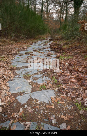 Ancienne voie romaine faite en basalte (près de Bolsena, Latium. L'Italie, Janvier Banque D'Images