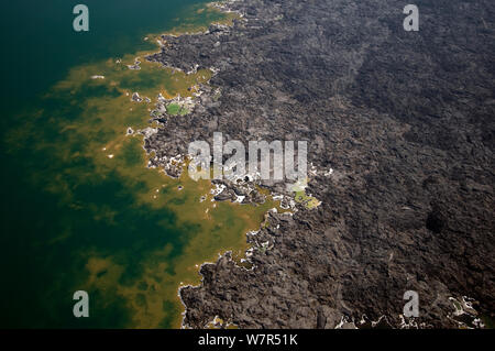 Des rives du lac Assal - Africas point le plus bas à 515 pieds au-dessous du niveau de la mer, Djibouti, Mars 2008 Banque D'Images