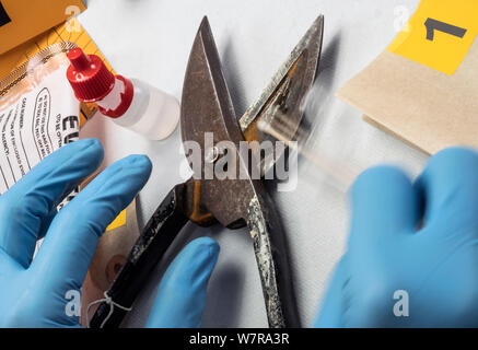 Un scientifique de police extrait un échantillon d'ADN d'une pince à épiler dans un laboratoire de crime, image conceptuelle Banque D'Images