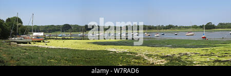 Vue panoramique de Chichester Harbour, une zone de navigation populaires dans West Sussex, Royaume-Uni. Montre Chichester chenal près de Quay Dell à marée basse. Banque D'Images