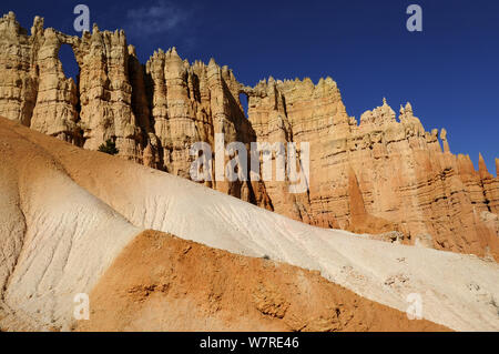 Mur de fenêtres des formations de grès, Bryce Canyon National Park, Utah, USA. Décembre 2012. Banque D'Images