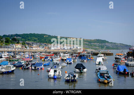 Port de Lyme Lyme Regis Dorset Angleterre Banque D'Images