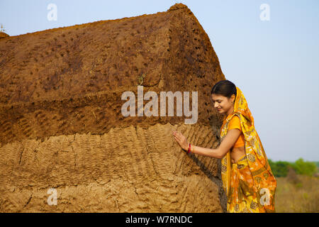 Rural woman working on dung cake hut Stock Photo