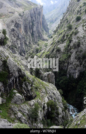 Randonnée dans le parc national Picos de Europa , Espagne Banque D'Images