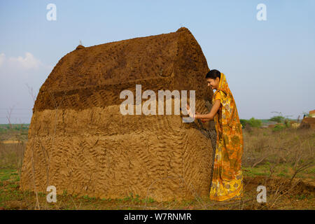 Femme rurale avec excréments cake hut Banque D'Images