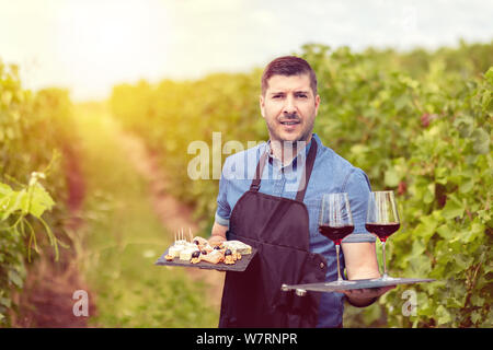 Vin moderne bouilloire à vineyard holding des échantillons de vin rouge et les différents choix de fromage et de salami Banque D'Images