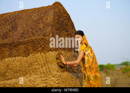 Femme rurale avec excréments cake hut Banque D'Images