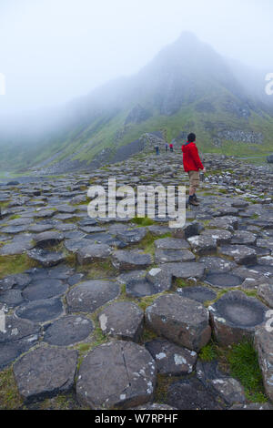 Tourisme des géants dans la brume, UNESCO World Heritage Site, comté d'Antrim, en Irlande du Nord, l'Europe, juin 2011. Banque D'Images