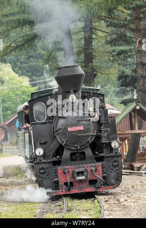 Moldoviţa, la Bucovine du Nord, Roumanie - un train à vapeur à voie étroite ou ocăniță "train" (petit berger). Le moteur est de bois. Banque D'Images