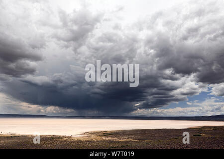 Menaces sur l'Alvord Desert, Oregon, USA, mai 2013. Banque D'Images