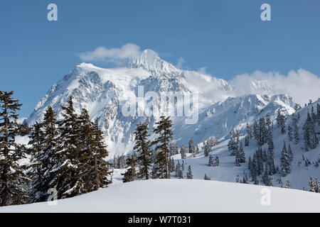 Le mont Shuksan vu de Heather Meadows Recreation Area, Washington, USA. Mars 2013. Banque D'Images