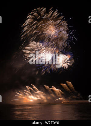 D'artifice dans Arles sur le Rhône à Marseille comme Capitale européenne de la Culture 2013. Camargue, France, janvier 2013. Banque D'Images