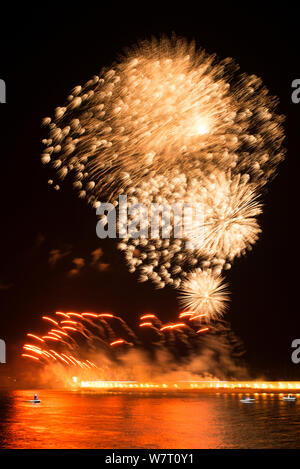 D'artifice dans Arles sur le Rhône, à l'occasion de Marseille étant la capitale européenne de la Culture 2013. Camargue, France, janvier 2013. Banque D'Images